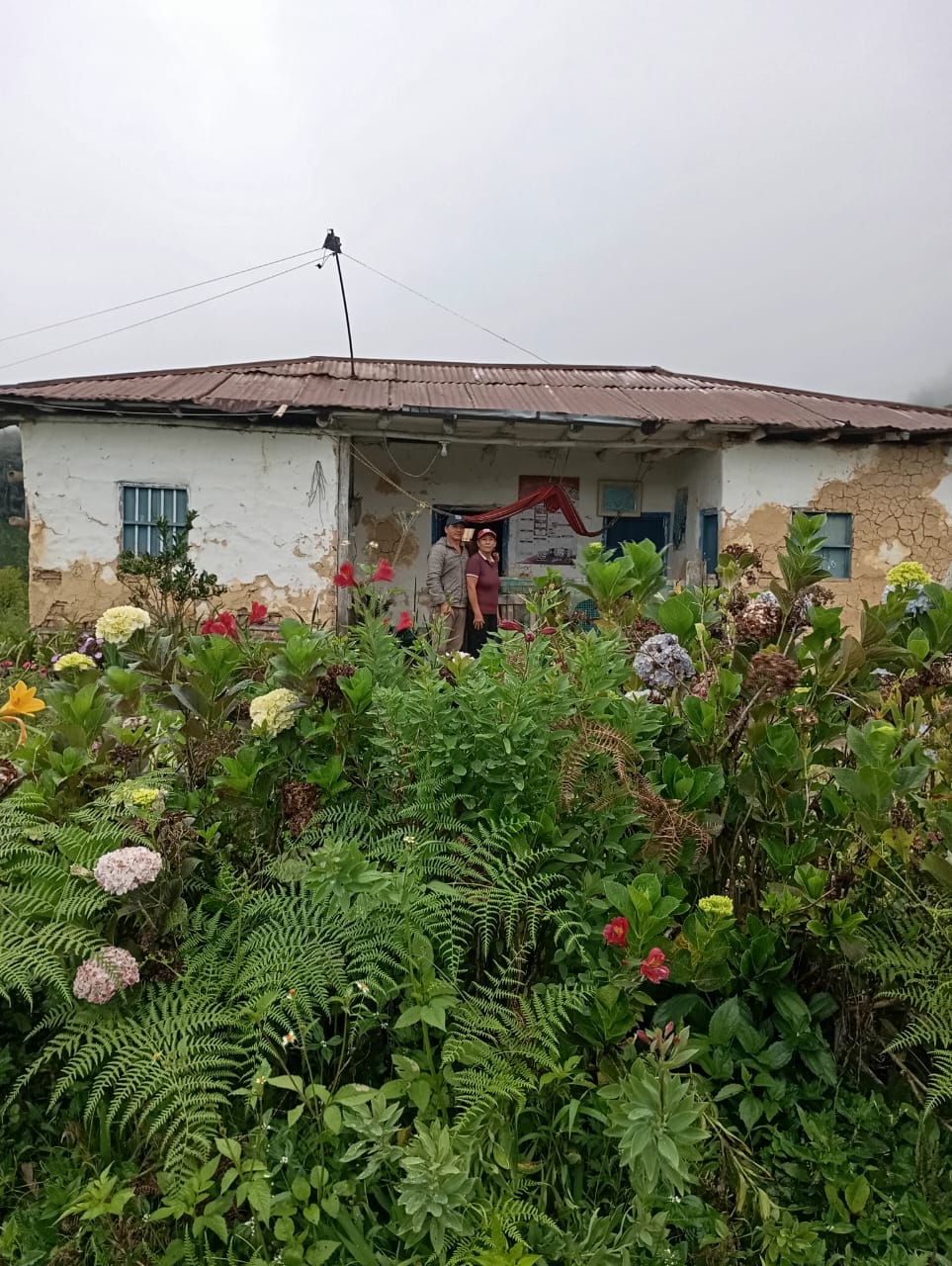 image-2