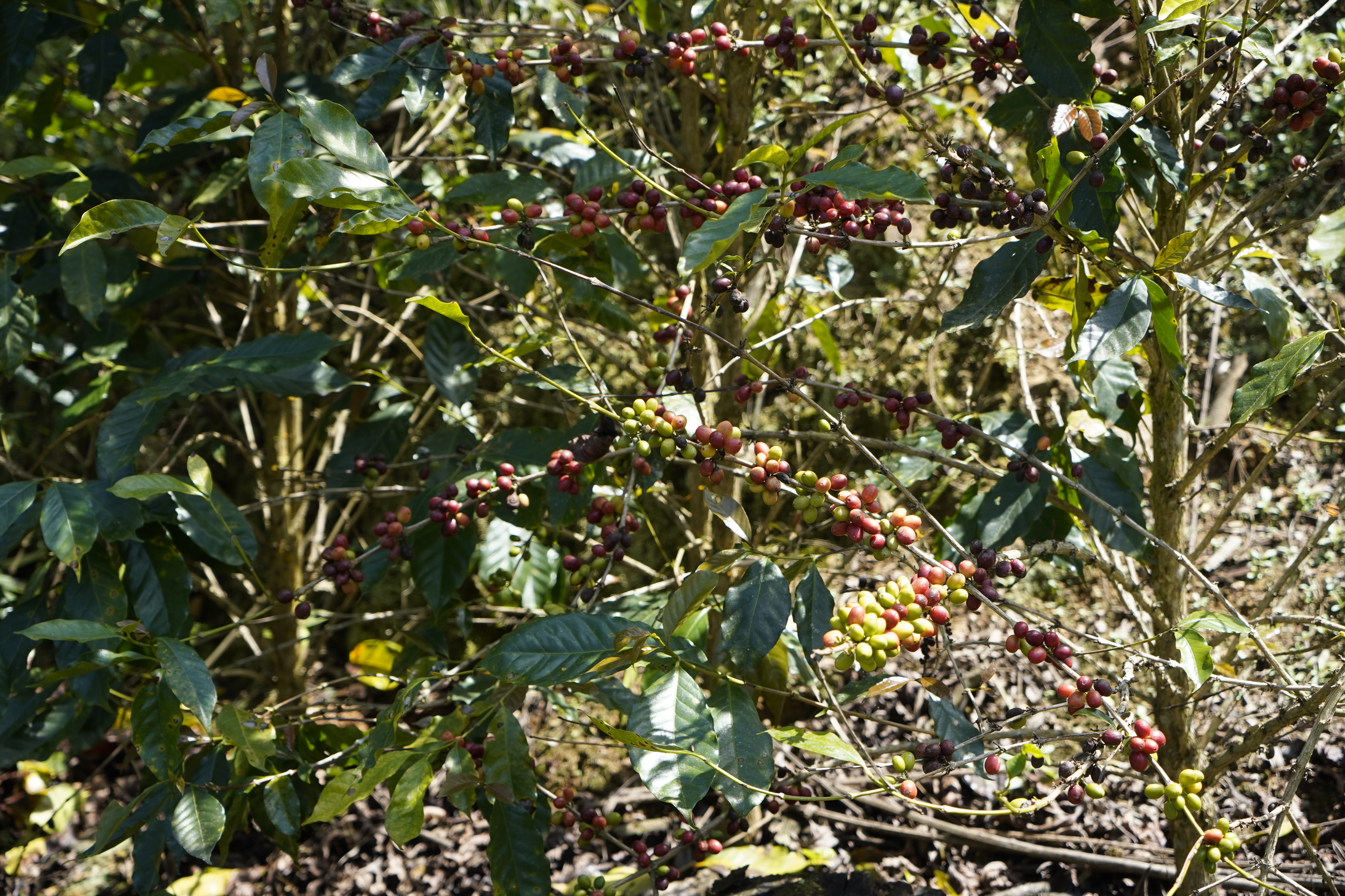 image-3