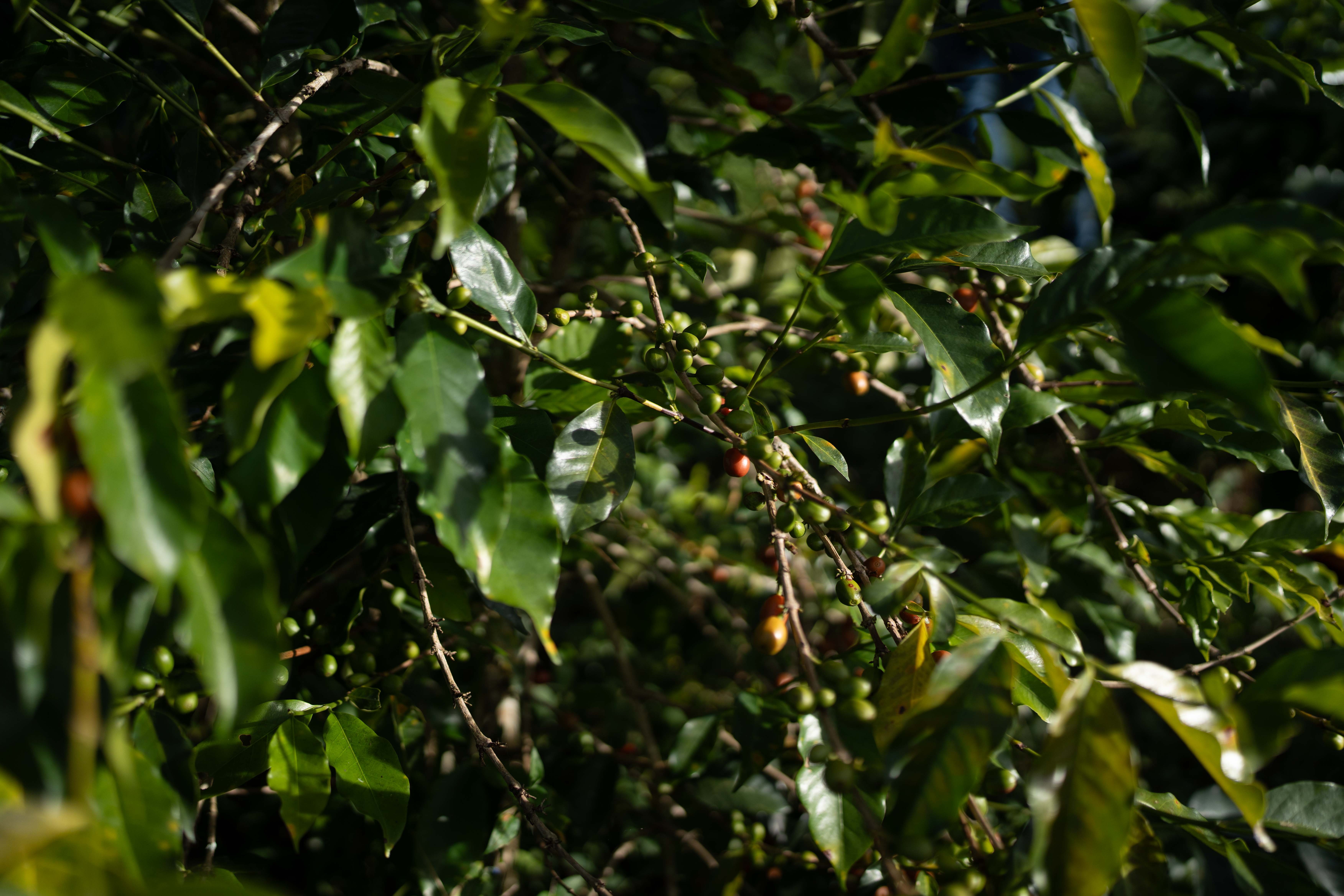 image-49